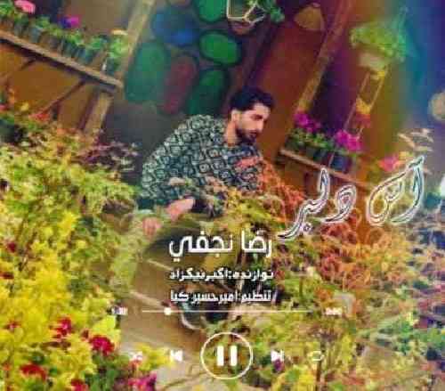 رضا نجفی آس دلبر